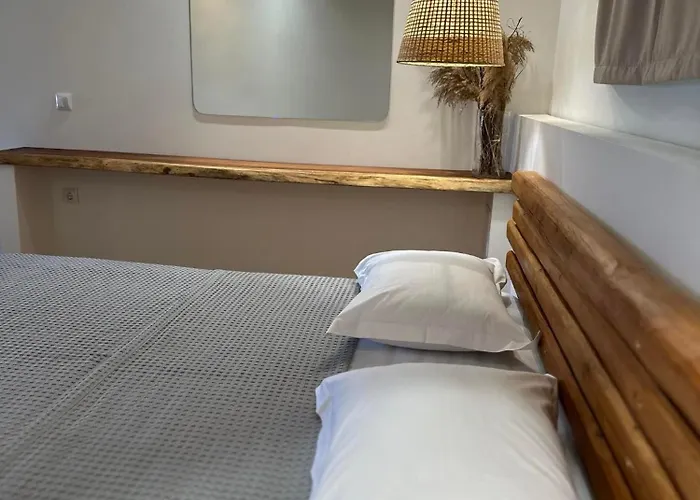 Astravi 아파트 Frý